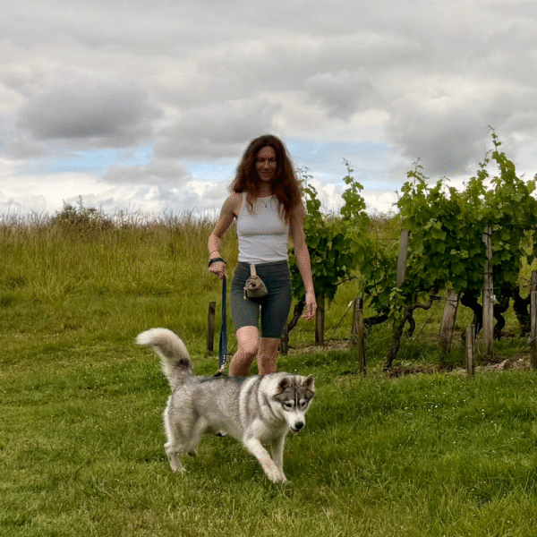 chien en vacances dans le Médoc - itinéraire de voyage dog-friendly