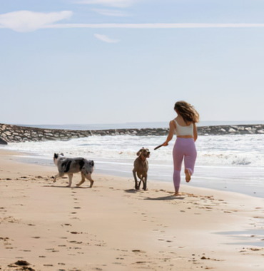 plage réservée aux chiens dans le Var autour de Hyères