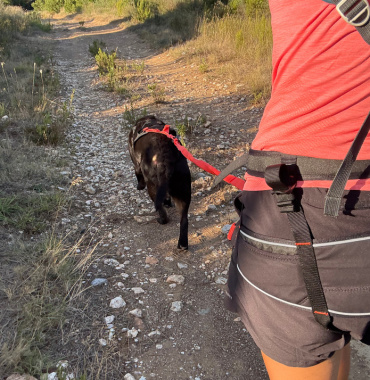 canicross avec un chien qui aime l'aventure