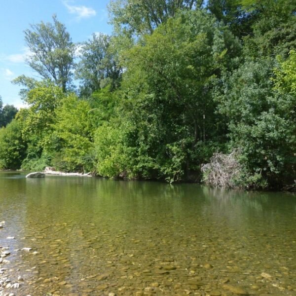 Camping naturiste La Genèse 3*- Gard (30) - Languedoc-Roussillon - Chiens acceptés - EmmèneTonChien.com