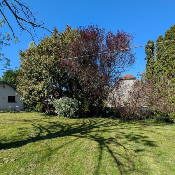 Grand Jardin arboré - Le Cottage en Haute-Saône à Lavoncourt