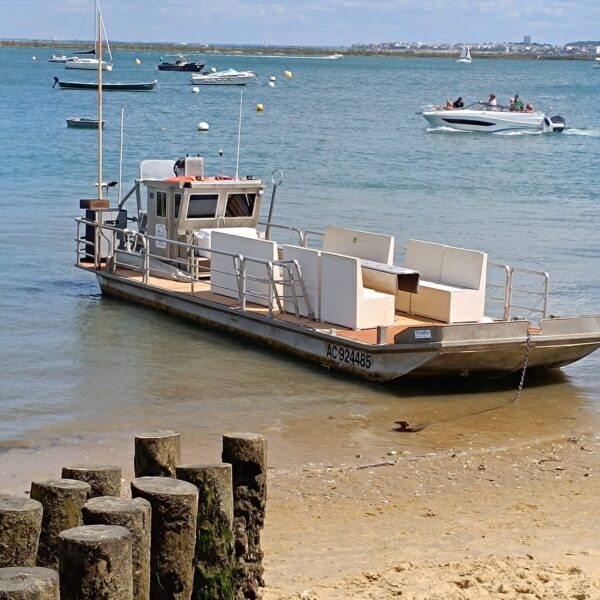 Arca Ferret Balades en bateau entre le Bassin Arcachon et Cap Ferret en Gironde