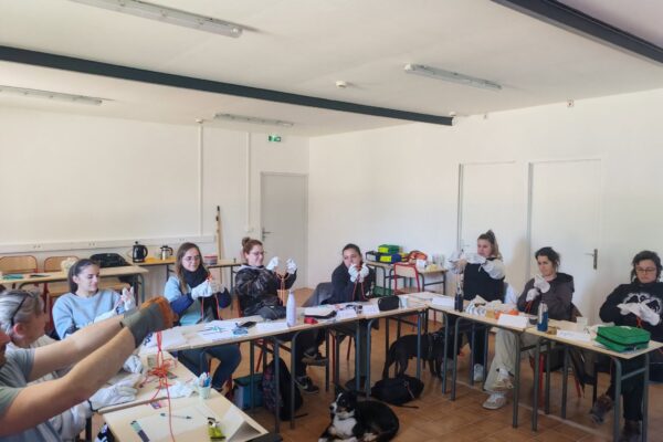 Formations Secourisme Canin et Félin