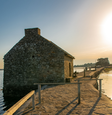 l'Île d'Arz où les chiens sont acceptés, dans le Morbihan, en Bretagne