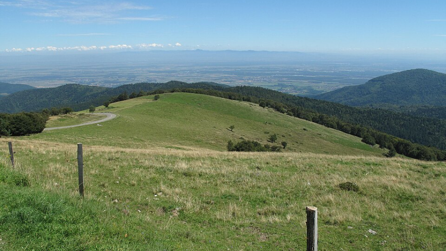 Ballon d'Alsace où les chiens sont acceptés, dans les Vosges du Sud, dans le Grand Est