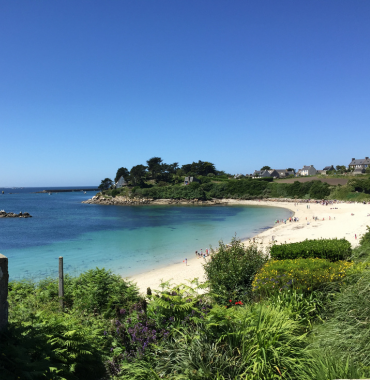 l'Île de Batz où les chiens sont acceptés, dans le Finistère, en Bretagne