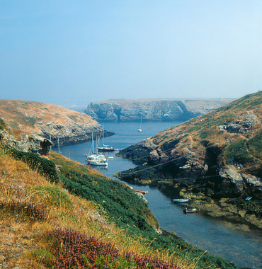 Île de Belle-Île-en-Mer où les chiens sont acceptés, dans le Morbihan, en Bretagne