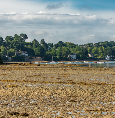Les Îles aux Moines où les chiens sont acceptés, dans le Morbihan, en Bretagne