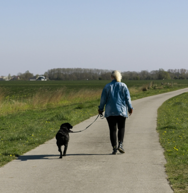 Chien en balade sur l'ïle de Groix, où les animaux sont acceptés, dans le Morbihan, en Bretagne