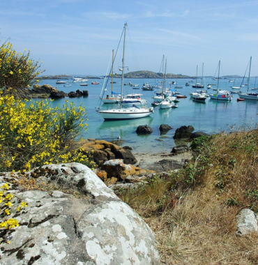Port des Îles de Chausey où les chiens sont acceptés, à Granville, dans la Manche, en Normandie