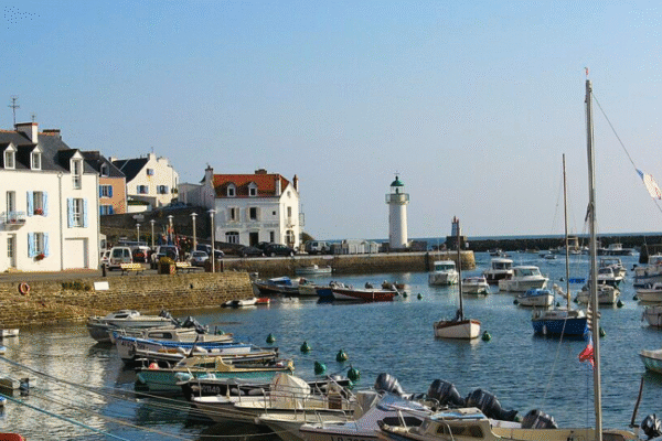 Découvrir l’île de Belle-Île-en-Mer avec son chien