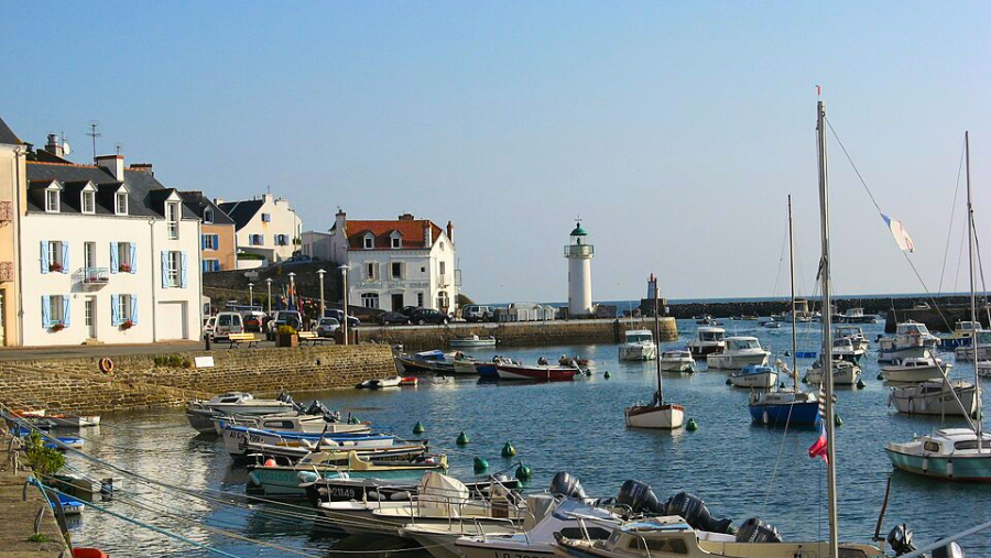 Découvrir l’île de Belle-Île-en-Mer avec son chien