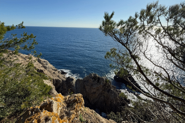 Visiter l’Île de Porquerolles avec son chien