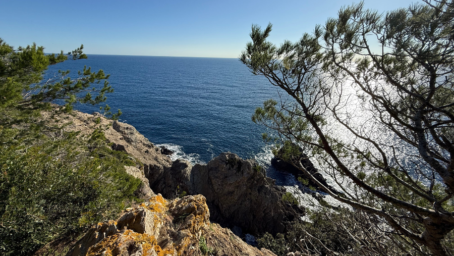Visiter l’Île de Porquerolles avec son chien