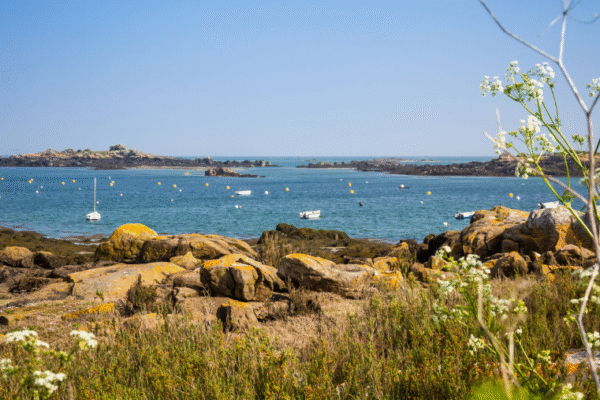 Découvrir les îles Chausey avec son chien