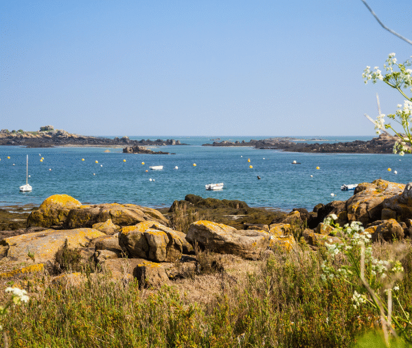Les Îles Chausey où les chiens sont acceptés, à Granville, dans la Manche, en Normandie