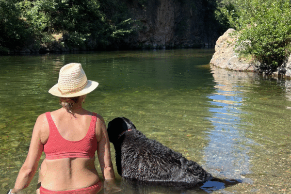 Top 10 des destinations fraîcheur avec son chien en France