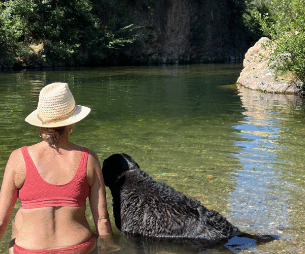 Top 10 des destinations fraîcheur avec son chien en France