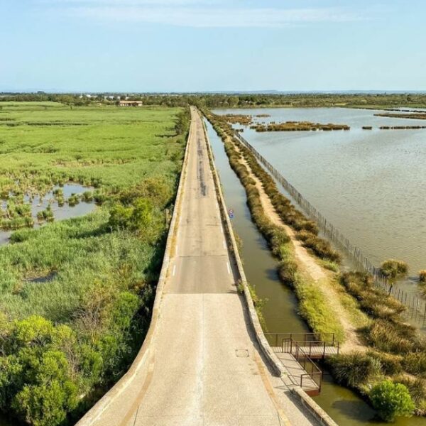 Station bees aigues mortes - location de vélos electriques avec son chien au bord de l'eau
