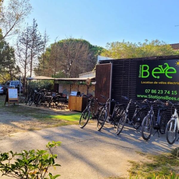 Station bees aigues mortes - location de vélos electriques avec son chien au bord de l'eau