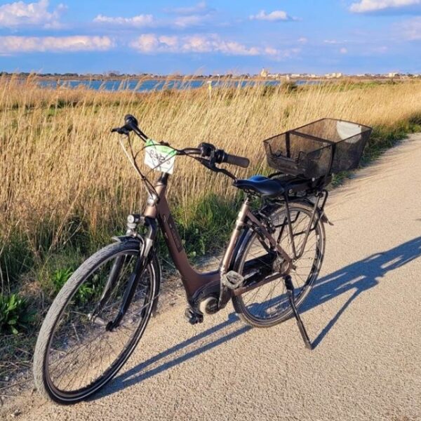 Station bees aigues mortes - location de vélos electriques avec son chien au bord de l'eau