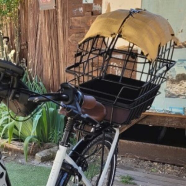 balade en camargue à vélo avec son chien chez Stastions Bee's.
