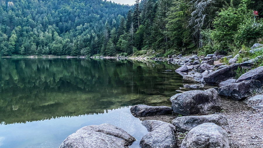 Lac des Corbeaux à la station de la Bresse, où les animaux sont les bienvenus, dans les Vosges, dans le Grand Est