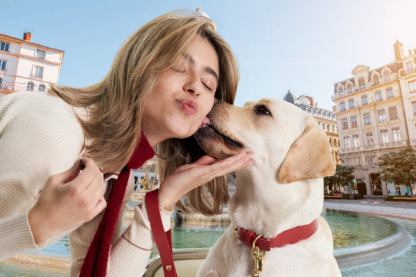 Promener son chien en ville : en laisse ou en liberté ?
