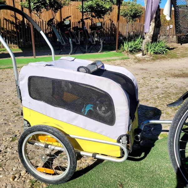 Station bees aigues mortes - location de vélos electriques avec son chien au bord de l'eau