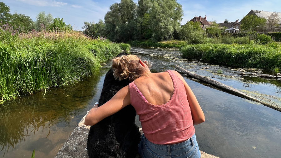 Séjour avec mon chien entre Sancerre et Châteauroux en Berry
