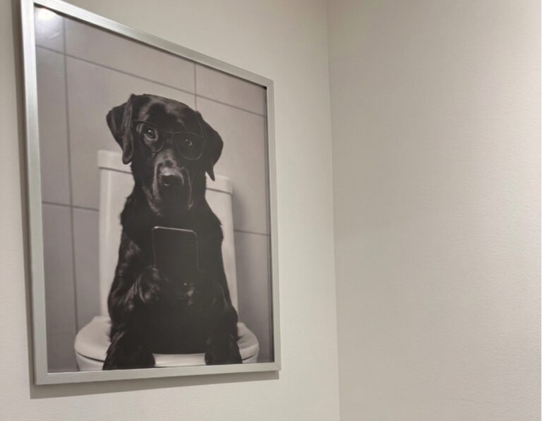 Décoration dogfriendly du Gîte La Tinou dans les Vosges à Saint-Nabord