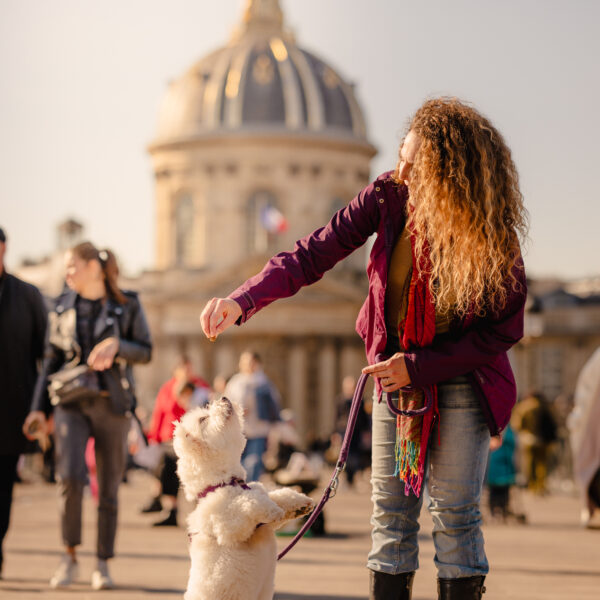 Strolls Paris, visite guidée dogfriendly Paris en France