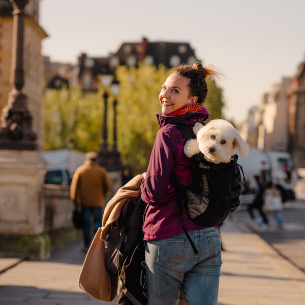 Strolls Paris, visite guidée dogfriendly Paris en France