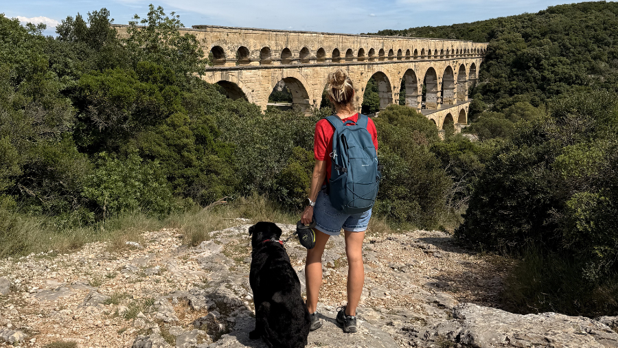 Découvrir des monuments historiques en France avec son chien
