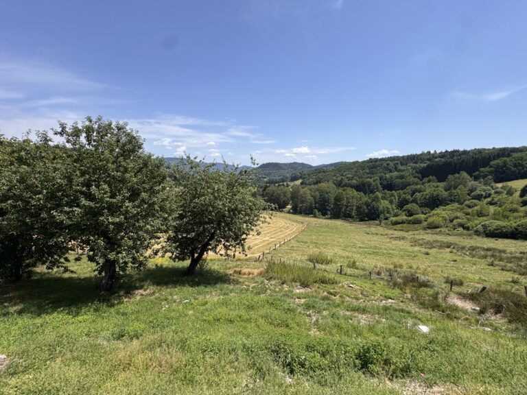 Vue sur la nature depuis le Gîte La Tinou dans les Vosges à Saint-Nabord
