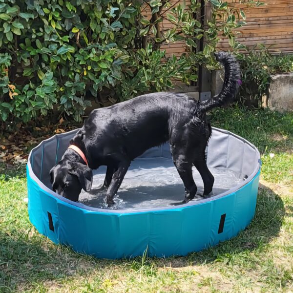 Gîte Le Clos des Laves 100% dogfriendly