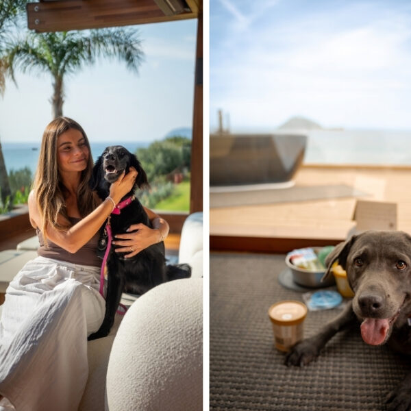 Baba résidences - résidence de luxe pour chiens et maitres en Italie à Alassio