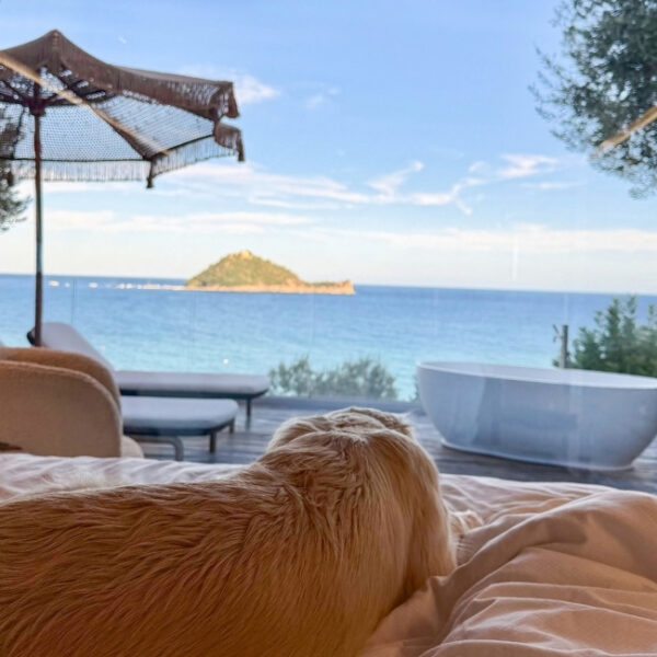 Baba résidences - résidence de luxe pour chiens et maitres en Italie à Alassio