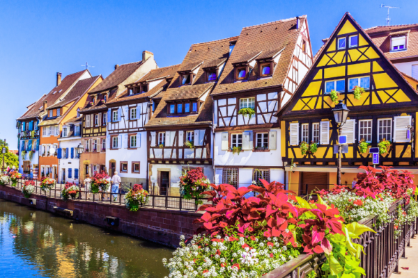 Week-end à Strasbourg avec un chien : 2 jours d’activités dog-friendly