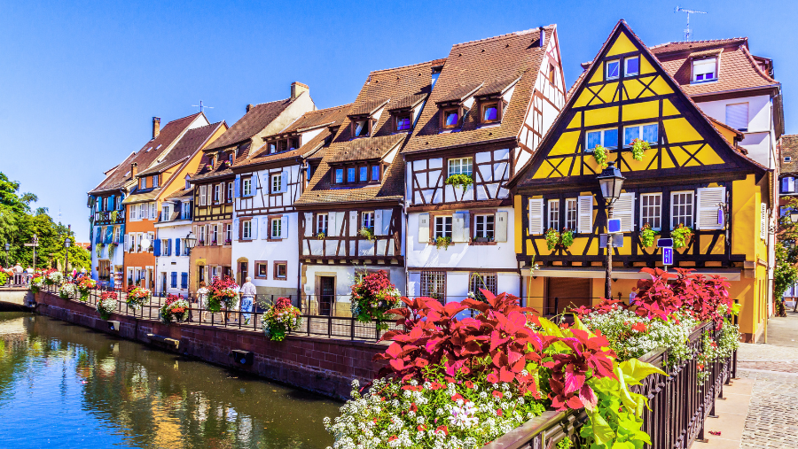 Week-end à Strasbourg avec un chien : 2 jours d’activités dog-friendly
