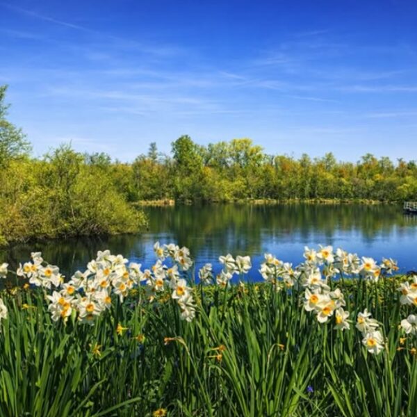 Séjour nature à Saint-Quentin avec votre chien