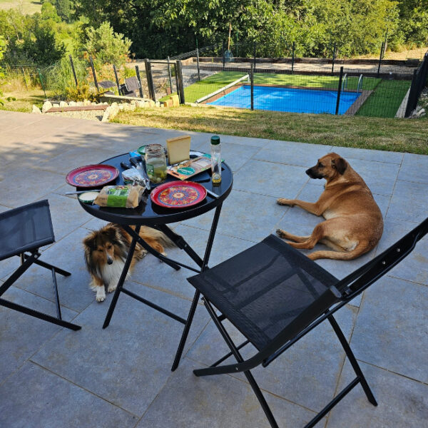 Gîte chiens acceptés dans le Jura - Gîte Animals Cocoon à Aiglepierre, Jura, Franche-Comté