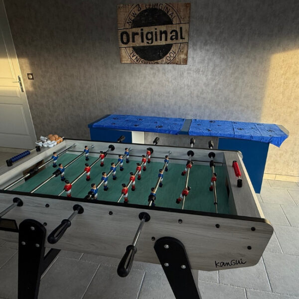 Salle de jeux avec babyfoot - Gîte Animals Cocoon à Aiglepierre, Jura, Franche-Comté