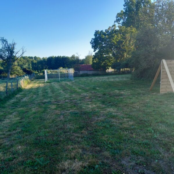 Grand espace clos pour laisser les chiens en liberté la journée - Pension et garderie canine 4 Paws Dogs Care à Montagny-Près-Louhans, en Saone-et-Loire