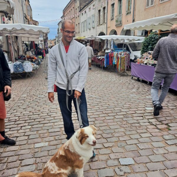 Promenade quotidienne pour les chiens à Montagny-Près-Louhans, - Pension et garderie canine 4 Paws Dogs Care, en Saone-et-Loire