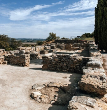 Oppidum d'Ensérune en Langedoc labellisé QUALIDOG