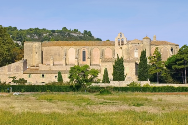 22 sites touristiques à visiter avec son chien en Languedoc