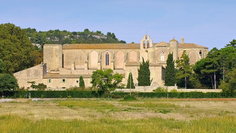 22 sites touristiques à visiter avec son chien en Languedoc