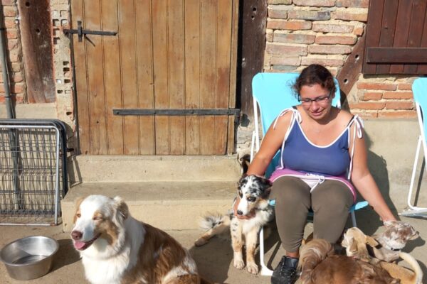 Pension et garderie canine 4 Paws Dogs Care