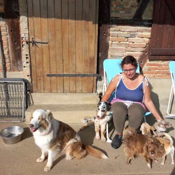 Yasmina, dogsitter chez Pension et garderie canine 4 Paws Dogs Care, à Montagny-Près-Louhans, en Saone-et-Loire